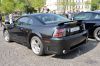 Stang0021.jpg