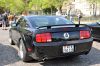 Stang0022.jpg