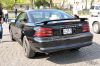 Stang0023.jpg