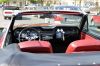 Stang0025.jpg