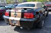 Stang0027.jpg