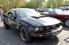 Stang0028.jpg
