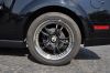 Stang0029.jpg