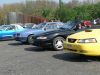 Stang0031.jpg