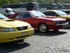 Stang0032.jpg