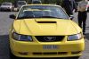 Stang0036.jpg