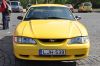 Stang0038.jpg
