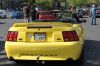 Stang0042.jpg