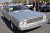 Stang0049.jpg