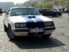 Stang0062.jpg