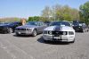 Stang0065.jpg