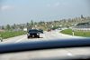 Stang0067.jpg