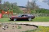 Stang0069.jpg