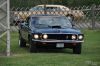 Stang0072.jpg