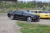 Stang0073.jpg