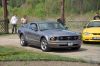 Stang0075.jpg