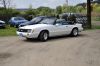 Stang0077.jpg