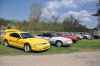 Stang0079.jpg