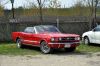 Stang0081.jpg