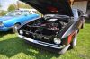 Stang0082.jpg