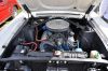 Stang0084.jpg