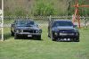Stang0086.jpg