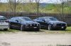 Stang0089.jpg