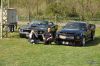 Stang0115.jpg
