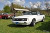 Stang0118.jpg
