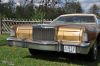 Stang0121.jpg