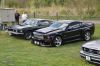 Stang0122.jpg