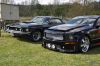 Stang0126.jpg