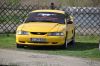 Stang0130.jpg