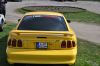 Stang0131.jpg
