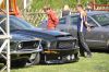Stang0134.jpg