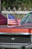 Stang0139.jpg