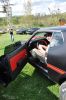 Stang0140.jpg