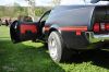 Stang0142.jpg