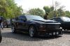 Stang0161.JPG
