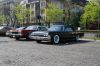 Stang0165.JPG