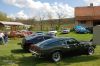 Stang0189.JPG