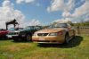 Stang0191.JPG