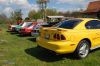 Stang0195.JPG