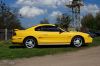Stang0196.JPG