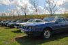 Stang0198.JPG