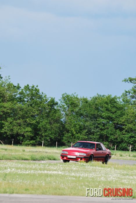 td0162.jpg