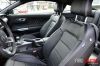 Stang05.jpg