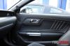 Stang07.jpg