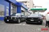 Stang10.jpg