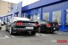 Stang11.jpg